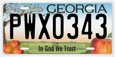GA license plate PWX0343