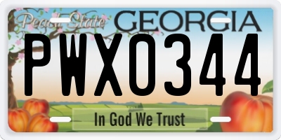 GA license plate PWX0344