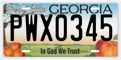 GA license plate PWX0345