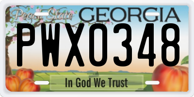 GA license plate PWX0348