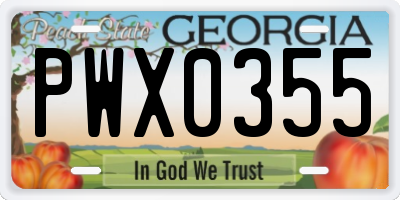 GA license plate PWX0355