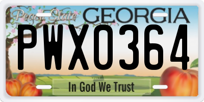GA license plate PWX0364