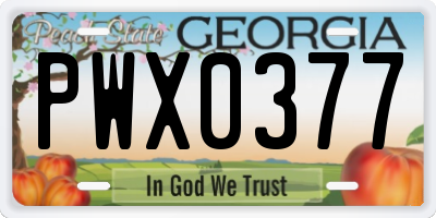 GA license plate PWX0377