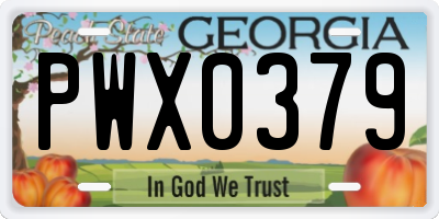 GA license plate PWX0379