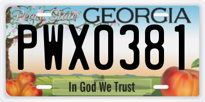 GA license plate PWX0381