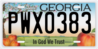 GA license plate PWX0383