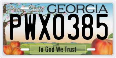 GA license plate PWX0385