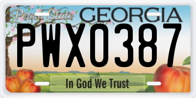 GA license plate PWX0387