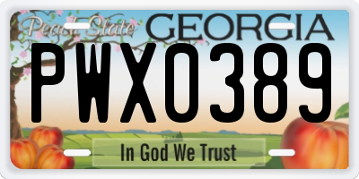 GA license plate PWX0389