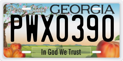 GA license plate PWX0390