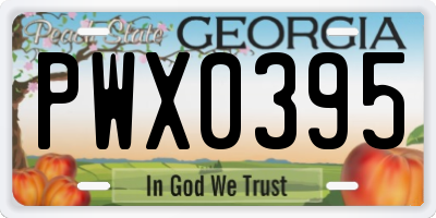 GA license plate PWX0395