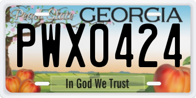 GA license plate PWX0424