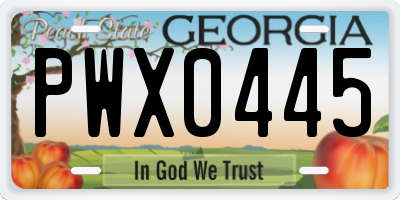 GA license plate PWX0445