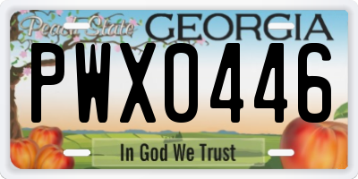 GA license plate PWX0446