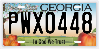 GA license plate PWX0448