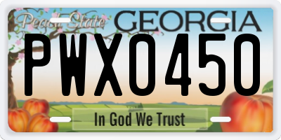 GA license plate PWX0450