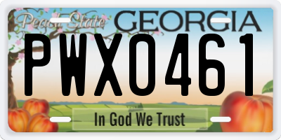 GA license plate PWX0461