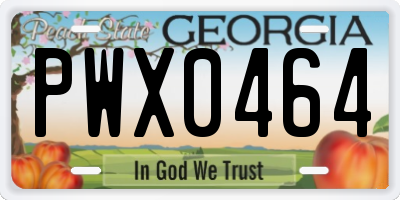 GA license plate PWX0464