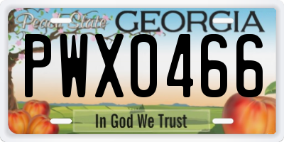 GA license plate PWX0466