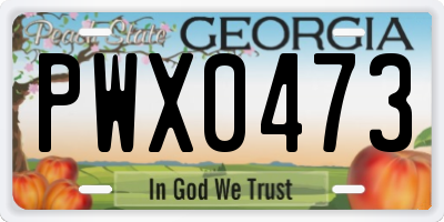 GA license plate PWX0473