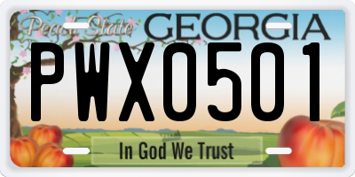 GA license plate PWX0501