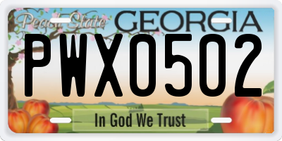 GA license plate PWX0502