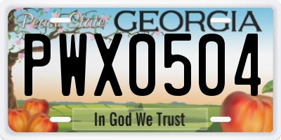 GA license plate PWX0504