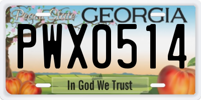 GA license plate PWX0514