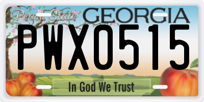 GA license plate PWX0515