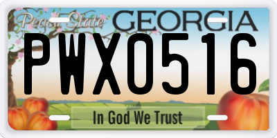 GA license plate PWX0516
