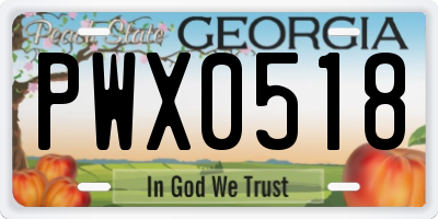 GA license plate PWX0518