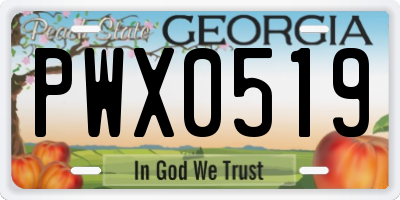 GA license plate PWX0519