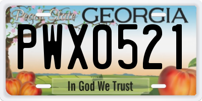 GA license plate PWX0521