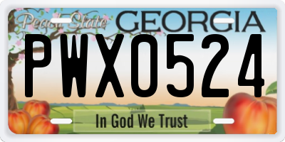 GA license plate PWX0524