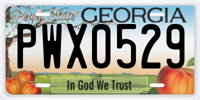 GA license plate PWX0529