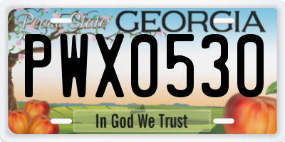GA license plate PWX0530