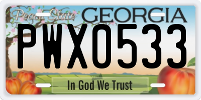GA license plate PWX0533