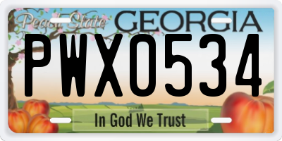 GA license plate PWX0534