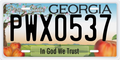 GA license plate PWX0537