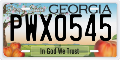 GA license plate PWX0545