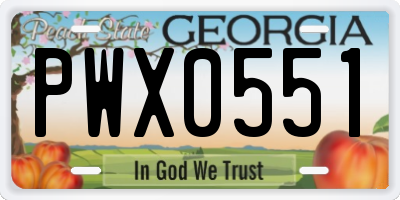 GA license plate PWX0551
