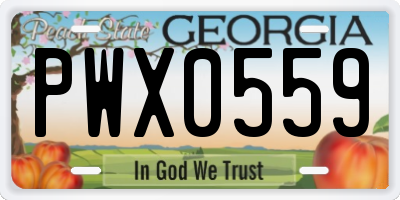 GA license plate PWX0559