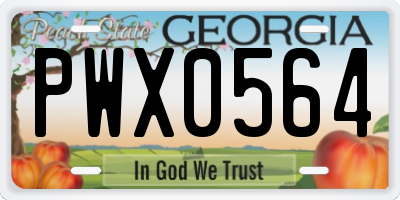 GA license plate PWX0564