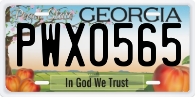 GA license plate PWX0565