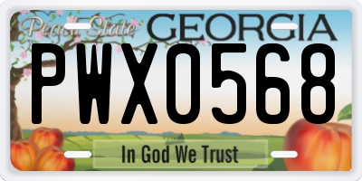 GA license plate PWX0568