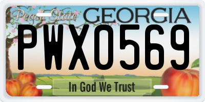GA license plate PWX0569