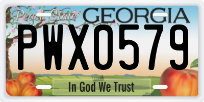 GA license plate PWX0579