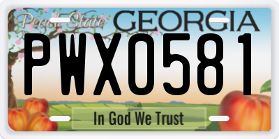 GA license plate PWX0581