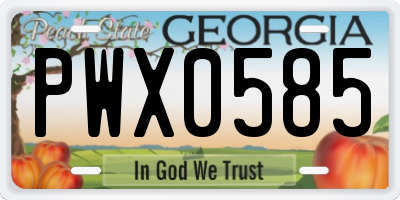 GA license plate PWX0585