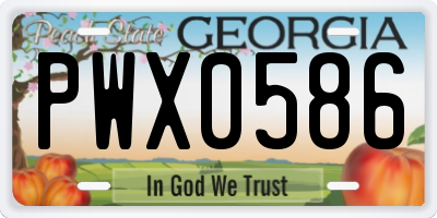 GA license plate PWX0586